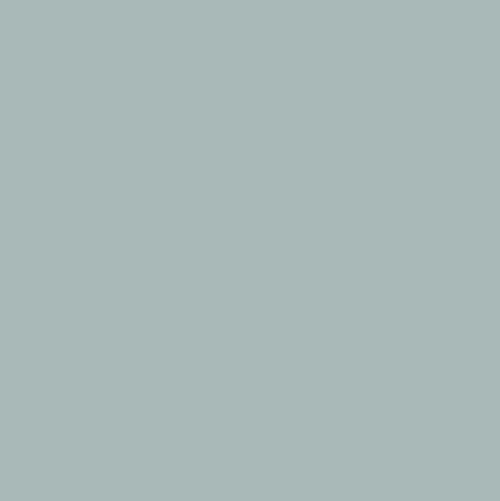 Silver Grey Corian